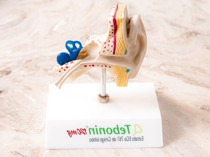 Zumbido Causas e Tratamentos Disponíveis em Floripa