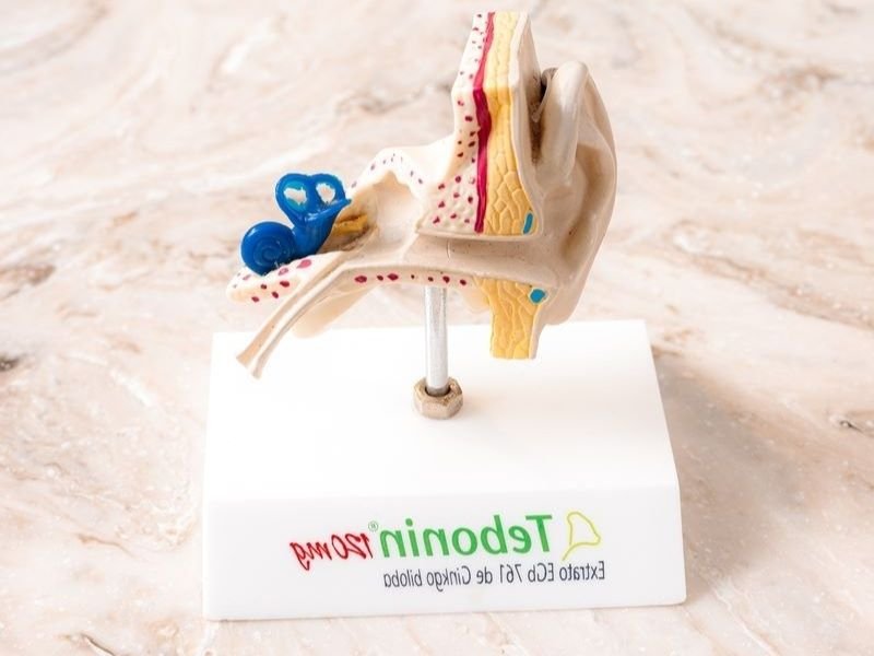 Estapedotomia em Mogi Mirim